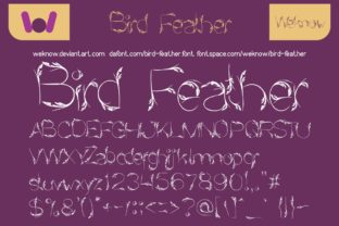 Bird Feather Font Review