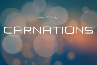 Carnations: A Bold Display Font
