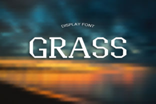 Grass Font for Business Branding
